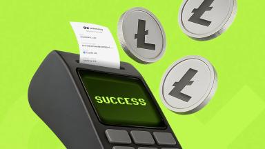 How to Accept Litecoin (LTC) Payments on Your Website
