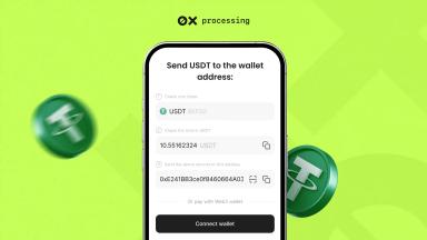 USDT Payments: How to Start Working with Cryptocurrency on Your Website with 0xProcessing