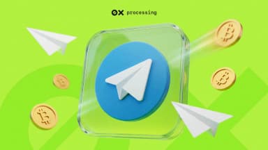 Monetizing Telegram Mini-Apps: The Ultimate Guide to Crypto Payment Integration