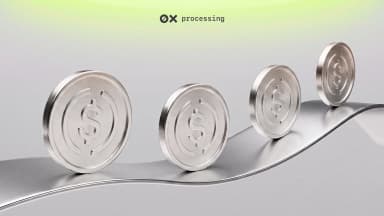 Accept USD Coin (USDC): A Business Payment Guide