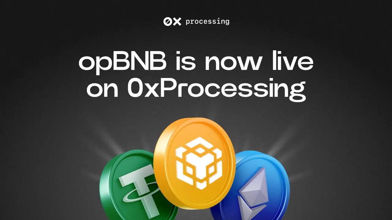 opBNB is now live on 0xProcessing