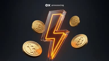 Lightning Network for Business: Faster Bitcoin Payments