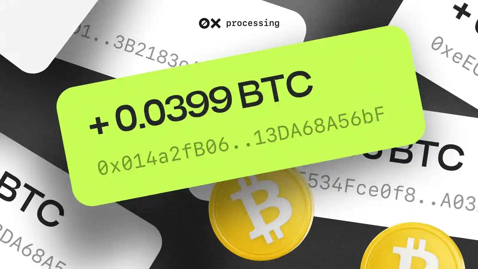 Demystifying the Process of Accepting Bitcoin: A Comprehensive Guide to Accept BTC Payments