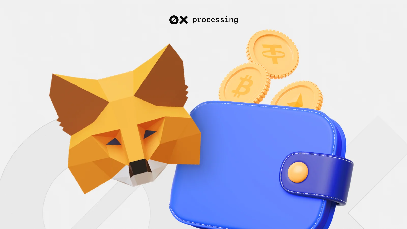 MetaMask Wallet: How to Use It for Crypto Payments & Web3 (2025) |  0xProcessing